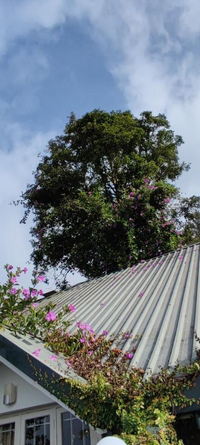 Munnar Tea Hills Resort - Mthr Buitenkant foto