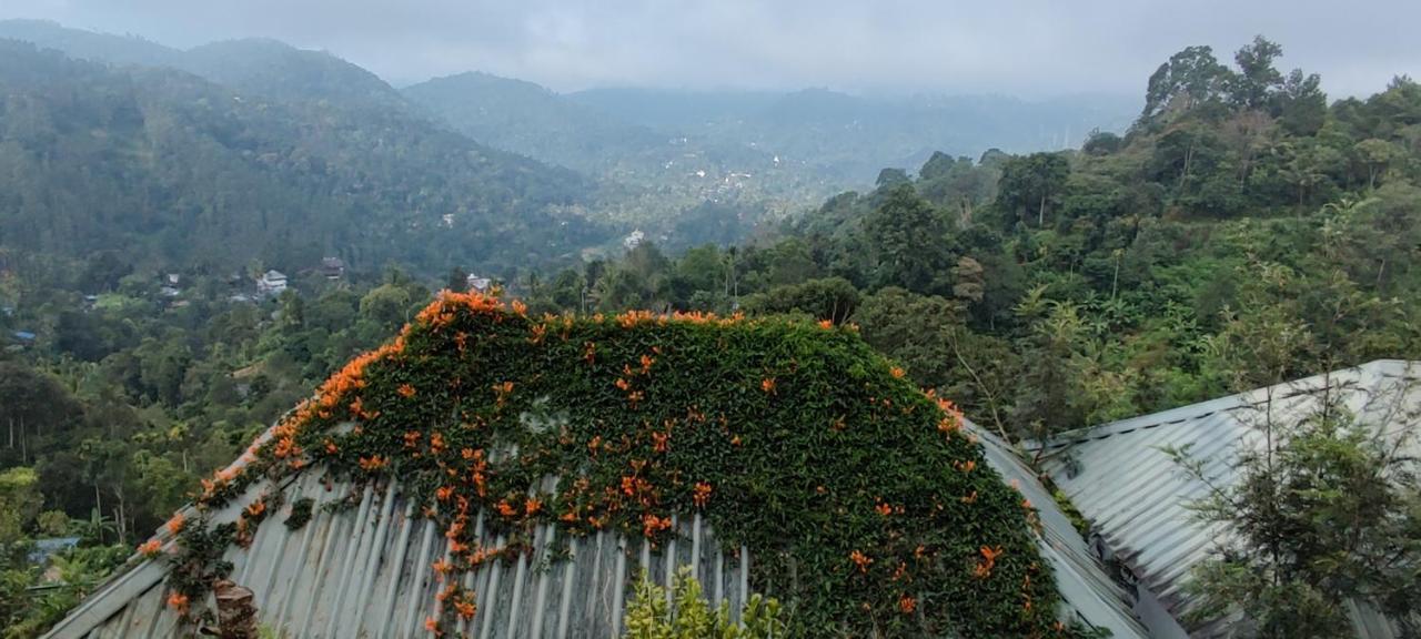 Munnar Tea Hills Resort - Mthr Buitenkant foto