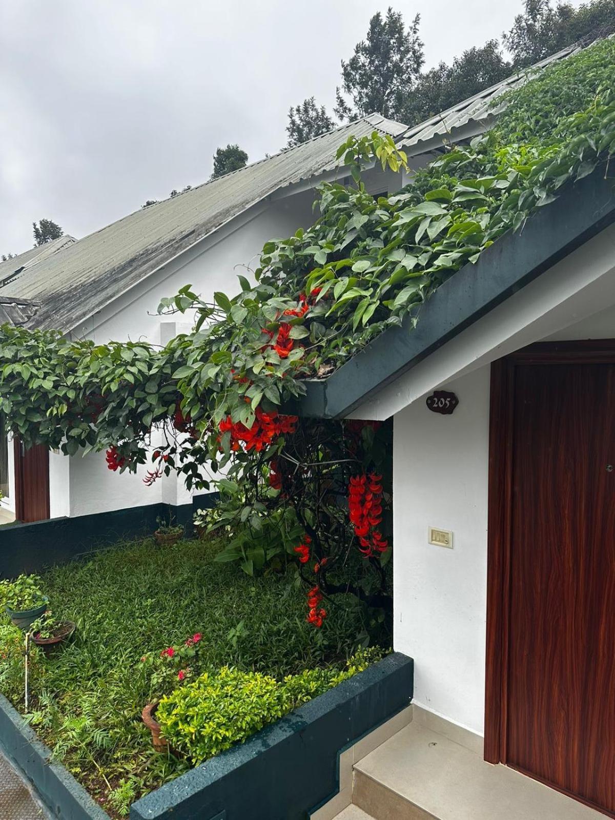 Munnar Tea Hills Resort - Mthr Buitenkant foto